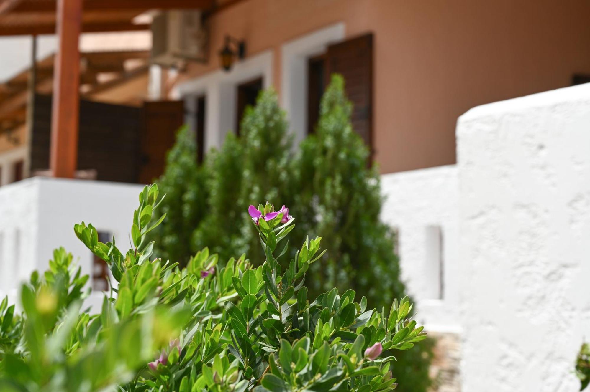 Garden House Xerokampos Apartment Xerokampos  Exterior photo